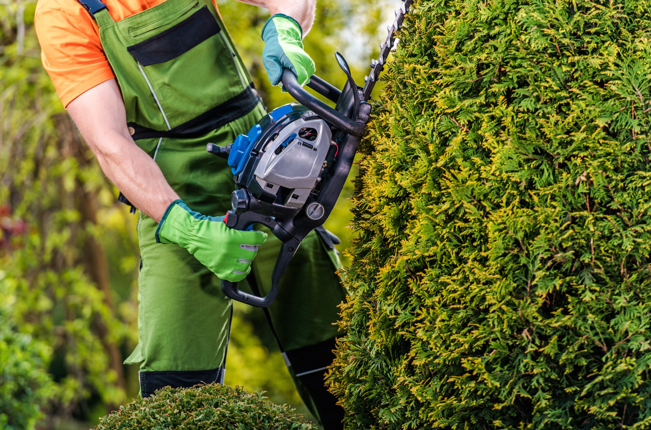 gardener topiary job HGF895Y scaled