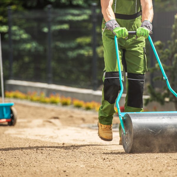 Poly Push Tow Lawn Roller Pushed by Caucasian Gardener. Soil Compacting Before Grass Seeding. Preparing Garden Landscape. Gardening and Landscaping Theme.